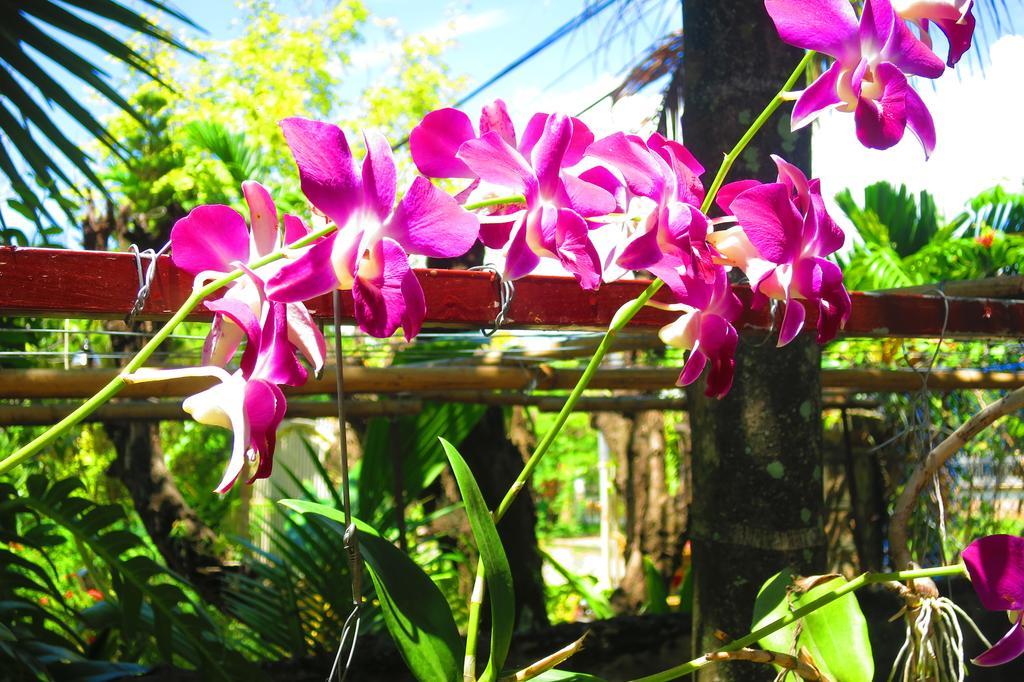 Kampot Guesthouse Exterior photo